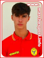 Samuele Bertuccioli