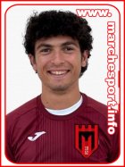 Nicolo Orciani