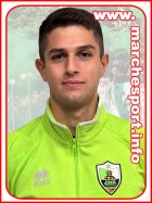 Andrea Acciarresi
