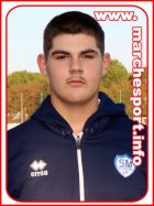 Nicholas Bucci