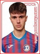 Tommaso Panichi