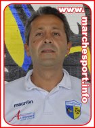 Elvis Traini