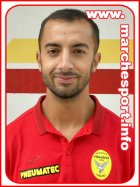Radi Harrach