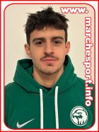 Giulio Pupita