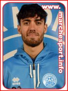 David Cicconofri