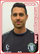 Davide Palazzi