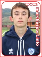 Samuele Muccioli